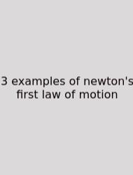 3 Examples Of Newton's First Law Of Motion