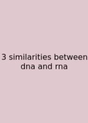 3 Similarities Between Dna And Rna