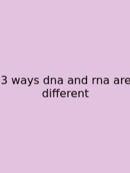 3 Ways Dna And Rna Are Different