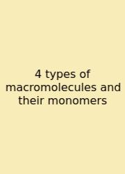 4 Types Of Macromolecules And Their Monomers