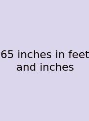 65 Inches In Feet And Inches