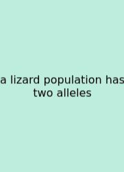 A Lizard Population Has Two Alleles