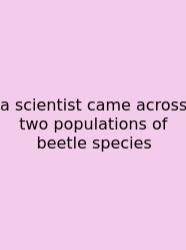 A Scientist Came Across Two Populations Of Beetle Species