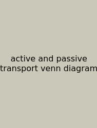 Active And Passive Transport Venn Diagram