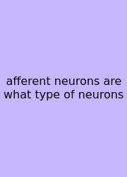 Afferent Neurons Are What Type Of Neurons