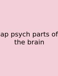 Ap Psych Parts Of The Brain