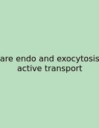 Are Endo And Exocytosis Active Transport