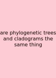 Are Phylogenetic Trees And Cladograms The Same Thing