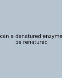 Can A Denatured Enzyme Be Renatured