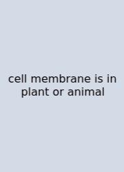 Cell Membrane Is In Plant Or Animal