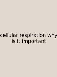 Cellular Respiration Why Is It Important