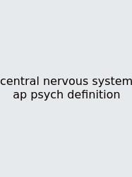 Central Nervous System Ap Psych Definition