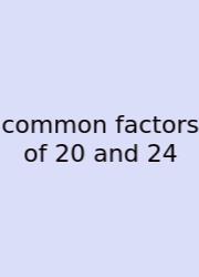 Common Factors Of 20 And 24