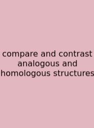 Compare And Contrast Analogous And Homologous Structures