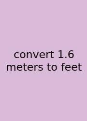 Convert 1.6 Meters To Feet