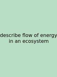 Describe Flow Of Energy In An Ecosystem
