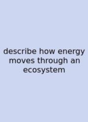 Describe How Energy Moves Through An Ecosystem