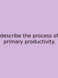 Describe The Process Of Primary Productivity.