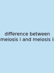 Difference Between Meiosis I And Meiosis Ii