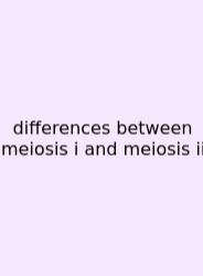 Differences Between Meiosis I And Meiosis Ii
