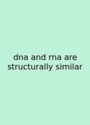 Dna And Rna Are Structurally Similar