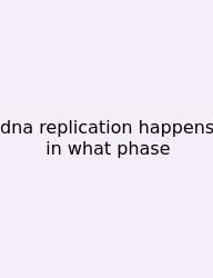 Dna Replication Happens In What Phase