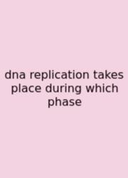 Dna Replication Takes Place During Which Phase