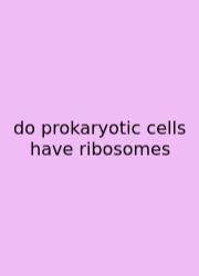 Do Prokaryotic Cells Have Ribosomes