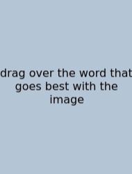 Drag Over The Word That Goes Best With The Image