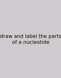 Draw And Label The Parts Of A Nucleotide