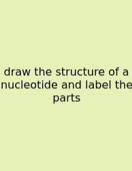 Draw The Structure Of A Nucleotide And Label The Parts