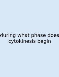 During What Phase Does Cytokinesis Begin