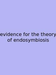 Evidence For The Theory Of Endosymbiosis