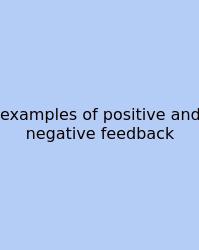 Examples Of Positive And Negative Feedback