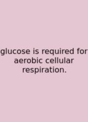Glucose Is Required For Aerobic Cellular Respiration.