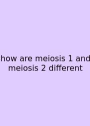 How Are Meiosis 1 And Meiosis 2 Different