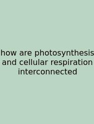 How Are Photosynthesis And Cellular Respiration Interconnected