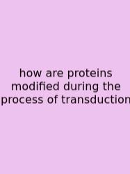 How Are Proteins Modified During The Process Of Transduction