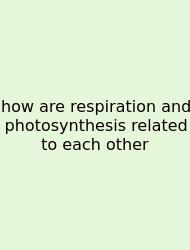 How Are Respiration And Photosynthesis Related To Each Other