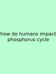 How Do Humans Impact Phosphorus Cycle