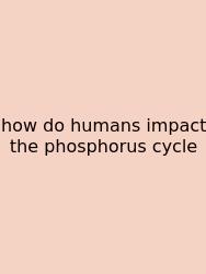 How Do Humans Impact The Phosphorus Cycle