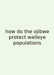How Do The Ojibwe Protect Walleye Populations