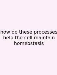 How Do These Processes Help The Cell Maintain Homeostasis