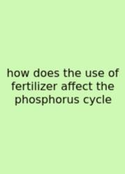 How Does The Use Of Fertilizer Affect The Phosphorus Cycle