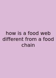 How Is A Food Web Different From A Food Chain