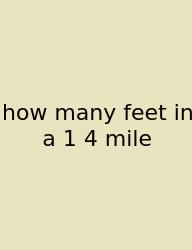 How Many Feet In A 1 4 Mile