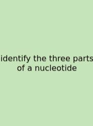 Identify The Three Parts Of A Nucleotide