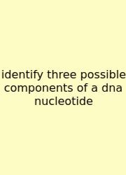 Identify Three Possible Components Of A Dna Nucleotide