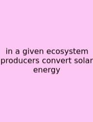 In A Given Ecosystem Producers Convert Solar Energy