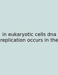 In Eukaryotic Cells Dna Replication Occurs In The
